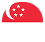 sg flag